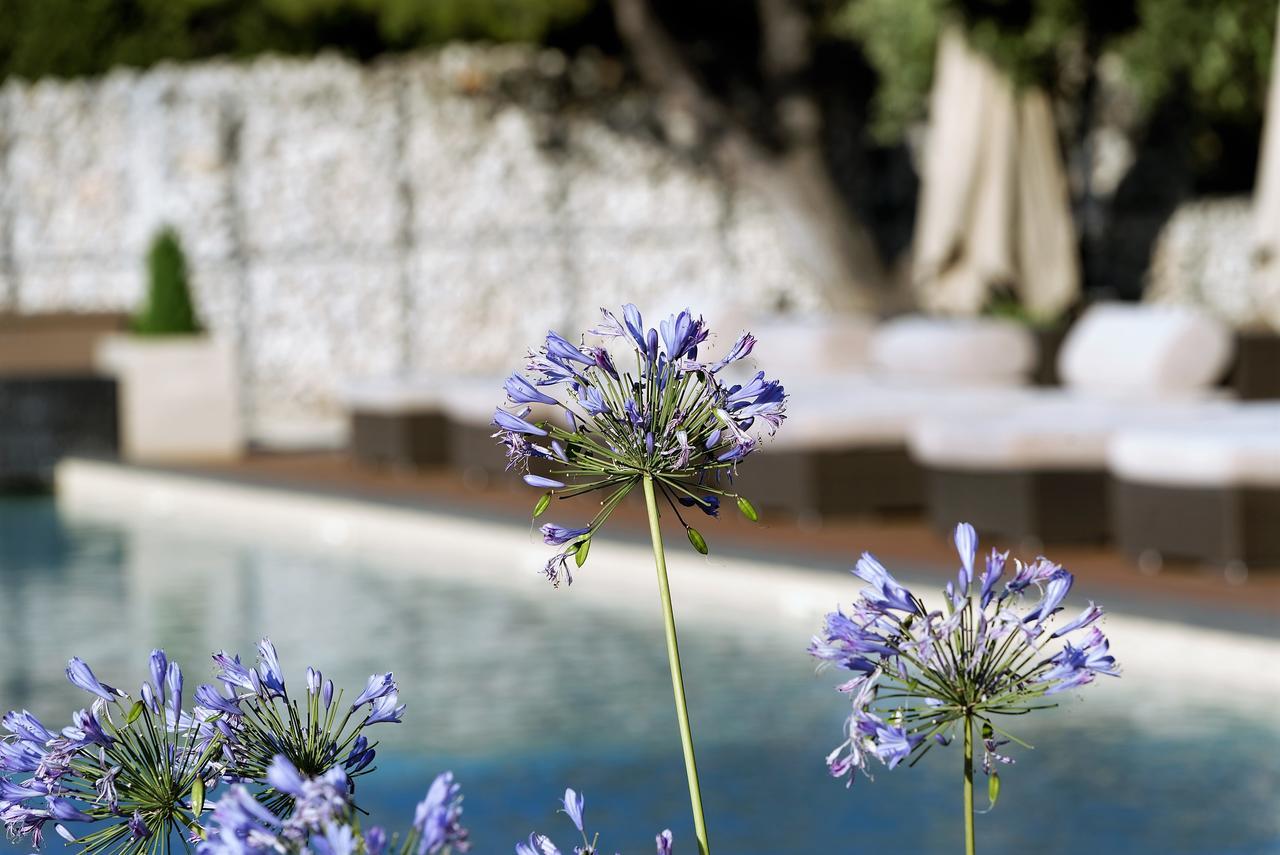 Domaine La Pierre Blanche Hotel Eygalières Buitenkant foto