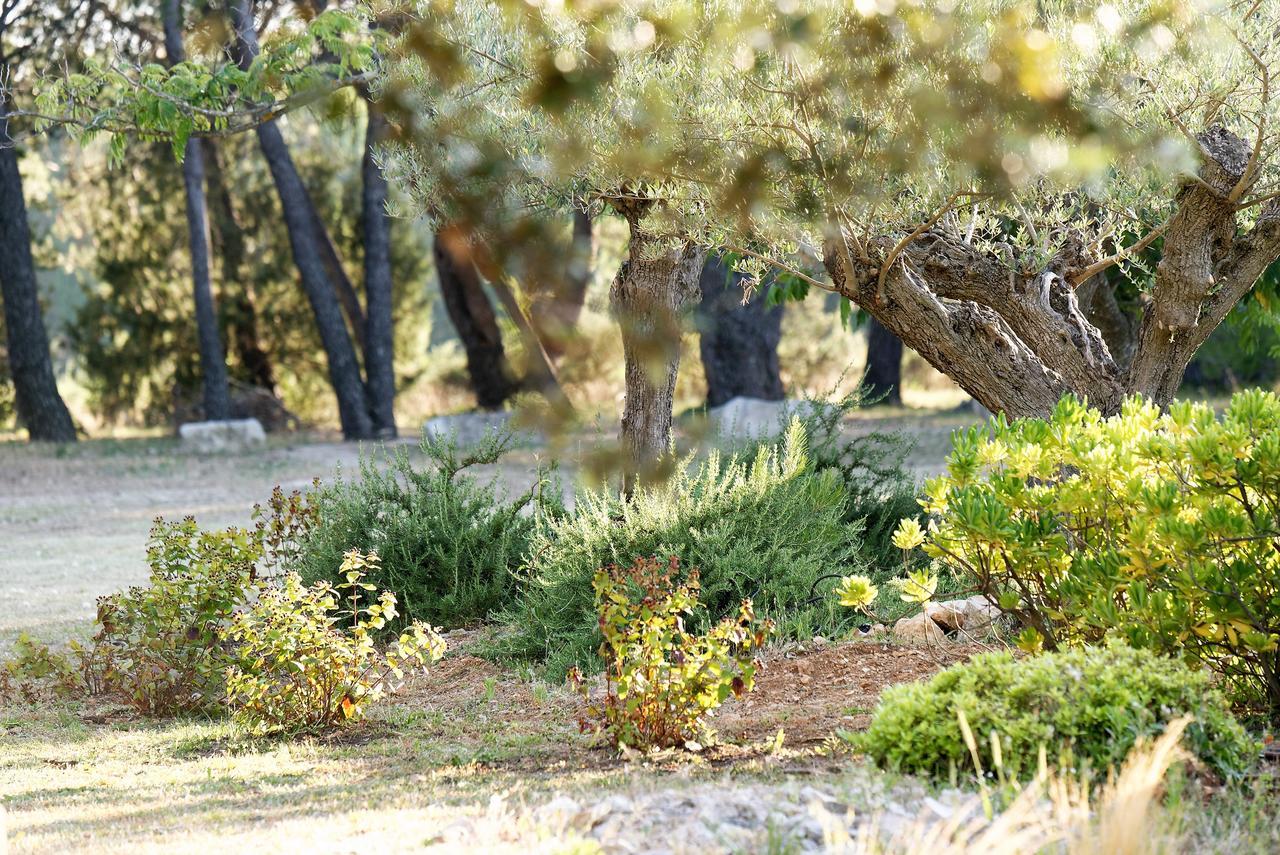 Domaine La Pierre Blanche Hotel Eygalières Buitenkant foto